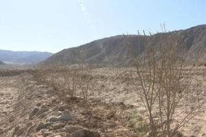 马鬃山镇：甘肃最大边防重镇的前世今生