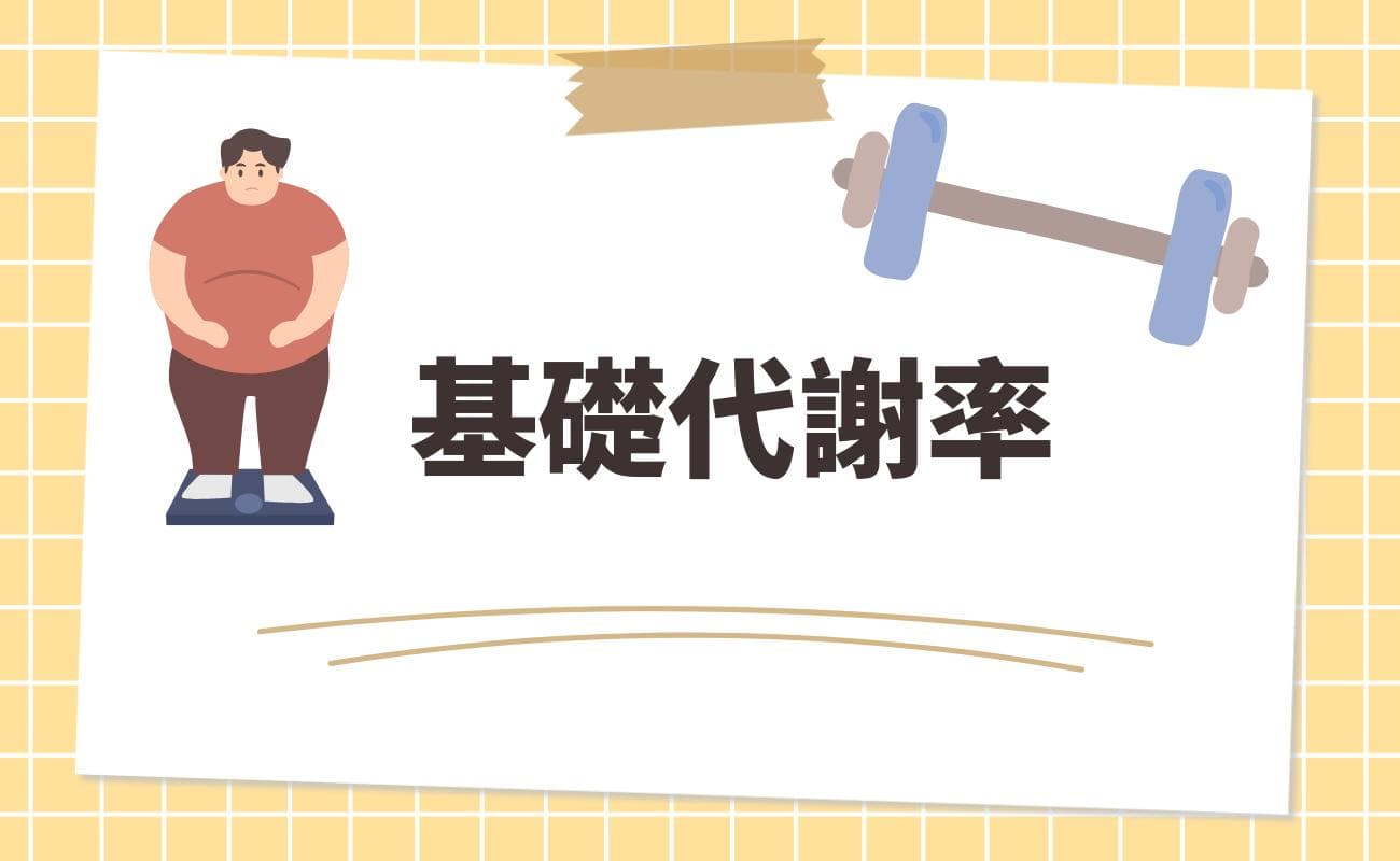 掌握基础代谢率：计算、影响因素及提升方法详解