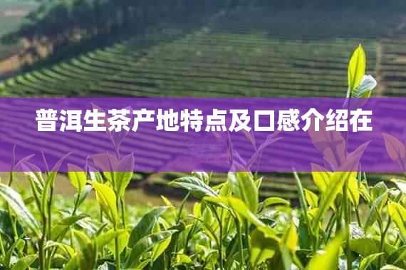 普洱生茶产地特点及口感介绍