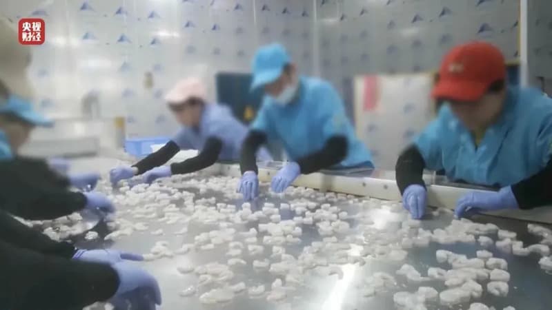 “3·15晚会”曝光名单全记录