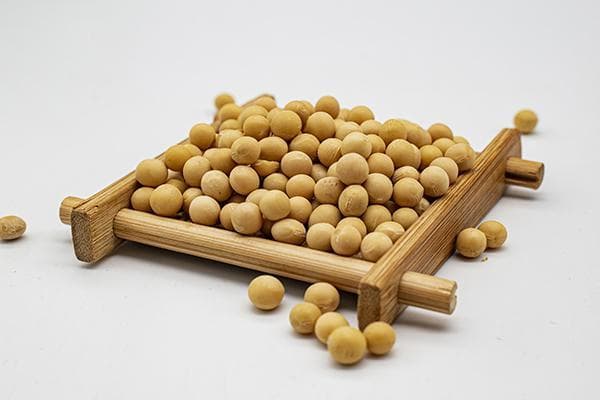 黄豆泡多久可以煮？黄豆的功效与作用