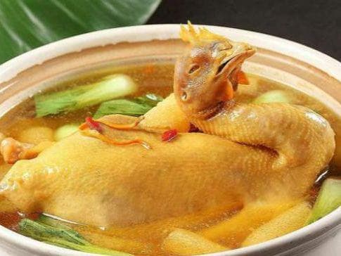 炖鸡，独特的烹饪方式能使得鸡肉的鲜美与汤料的醇厚完美融合