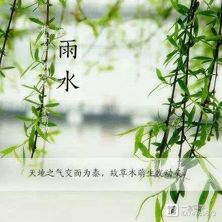 【原】雨水至，万物生：解锁 2025 年雨水节气的奥秘