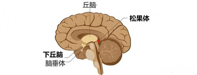 治疗失眠药物全解析：从褪黑素到抗抑郁药