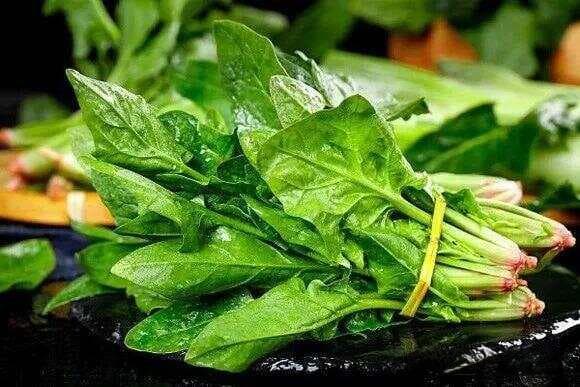 什么食物不能和菠菜一起吃？提升菠菜的营养价值，避免身体不适
