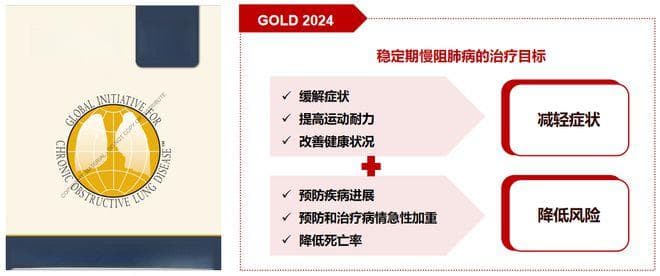 从病理到治疗：深入解析慢阻肺病机制与吸入治疗革新