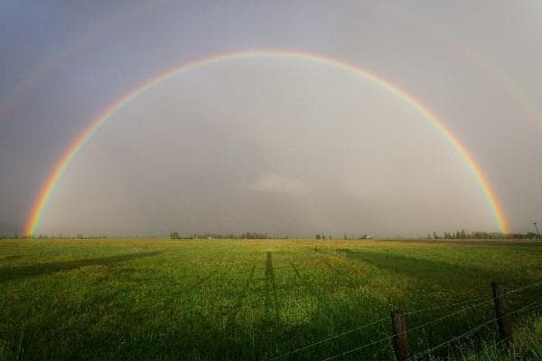重大疾病险法院可以强制执行吗？重大疾病保险一年多少钱？