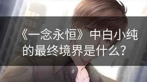 《一念永恒》中白小纯的最终境界是什么？