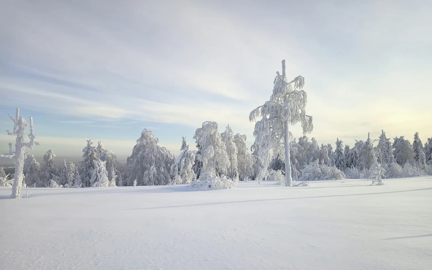 冬日打卡：汉拿山的浪漫雪景