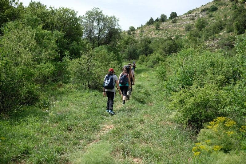 新手专区：从入门到进阶的登山完全指南