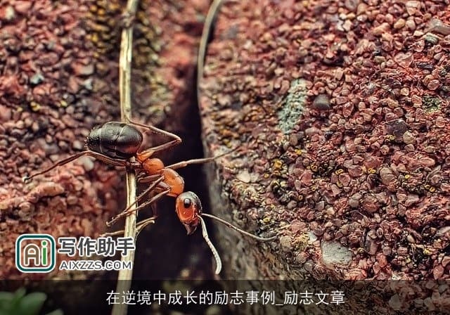 在逆境中成长的励志事例