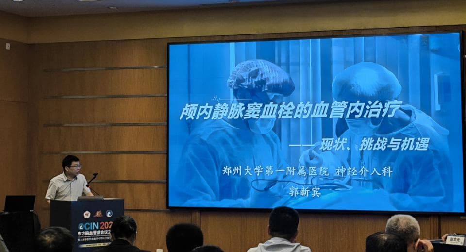 颅内静脉窦血栓的血管内治疗：现状、挑战与机遇