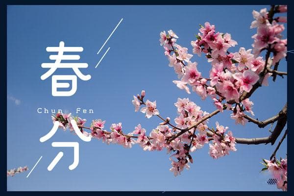 春分时节养生指南：不同体质如何合理饮食