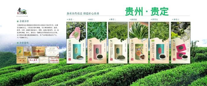 青年企业家成长指南：从理念到实践的全面指引