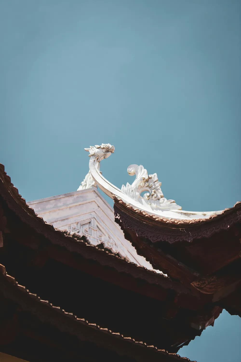 老子的“有无”哲学：从《道德经》到现代生活的智慧