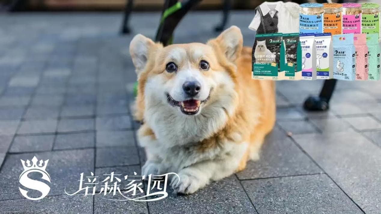 多留意狗狗小表情，其实它在努力和你沟通哦~