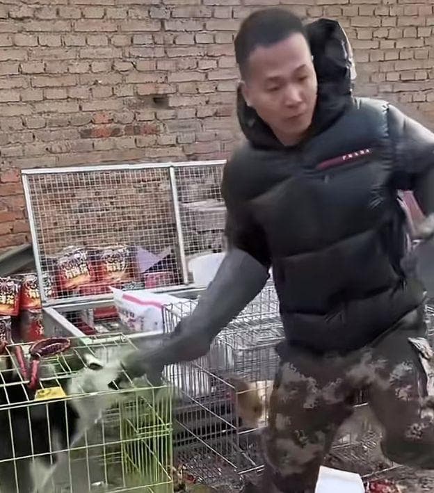 “火龙果”训犬法引争议，传统与现代理念碰撞