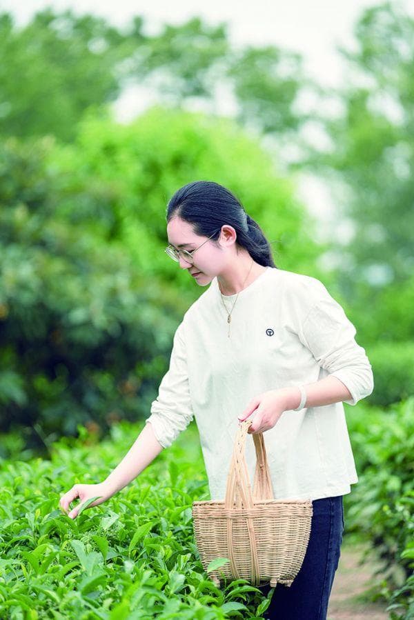 "90后"姑娘蔡高凡：用青春讲述一片树叶的故事