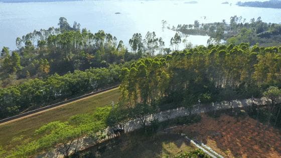 错峰冲海南，更具性价比！走“环热”旅游公路，看不一样的海南
