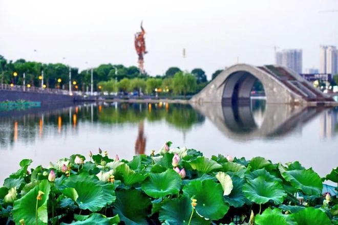 2024浙江高考前万名考生专业选择全解析：哪些专业最受欢迎？