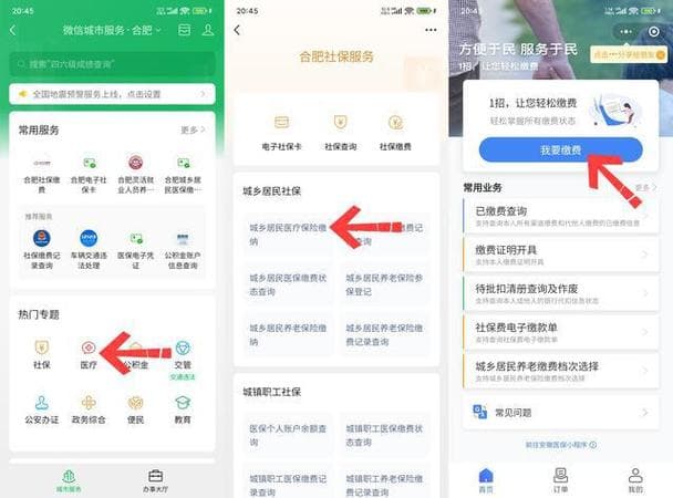 手机缴纳医疗保险指南：微信、支付宝等多种渠道详解