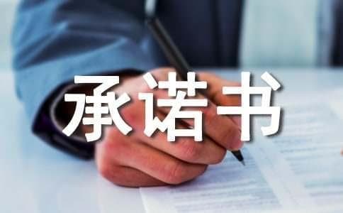 补交养老保险承诺书（通用10篇）