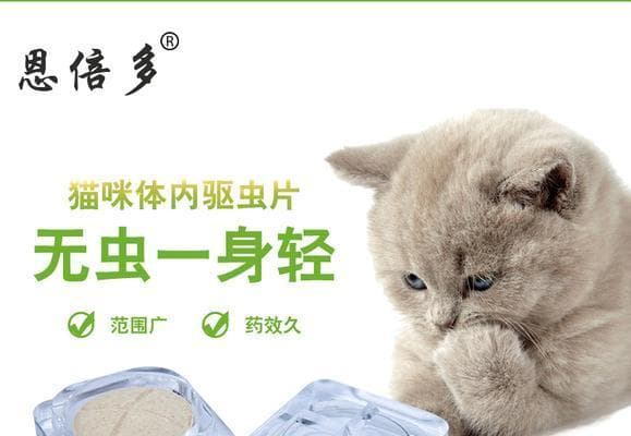 猫有寄生虫应该用什么驱虫药？如何正确使用？
