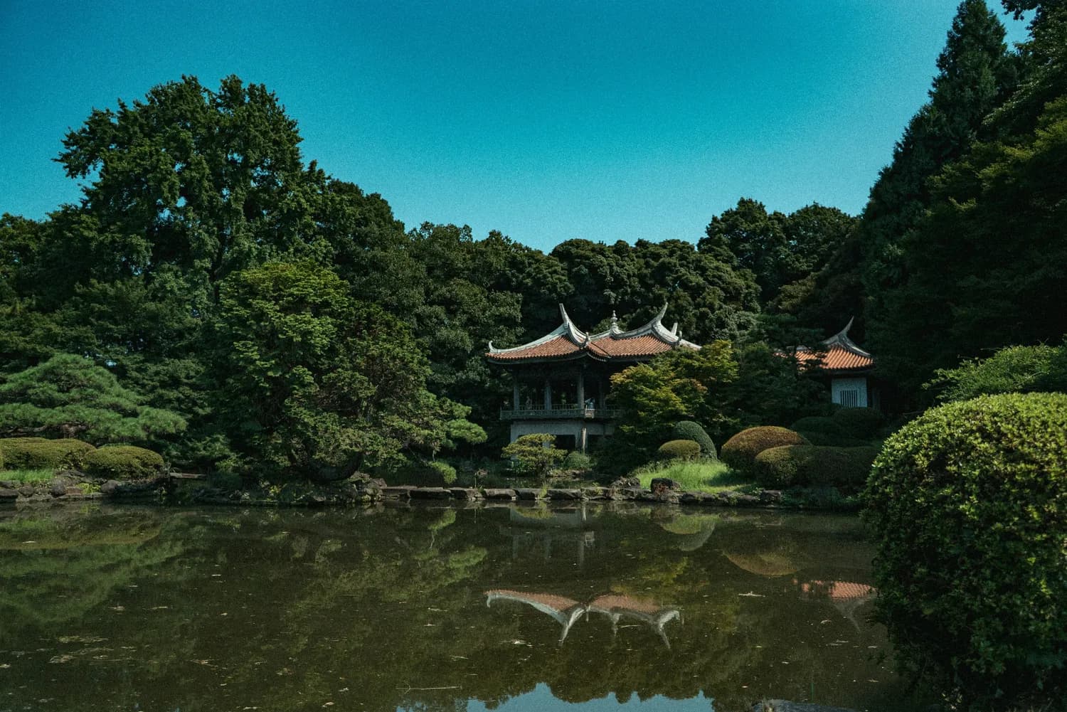 中山陵 vs 拙政园：谁是你的旅行首选？