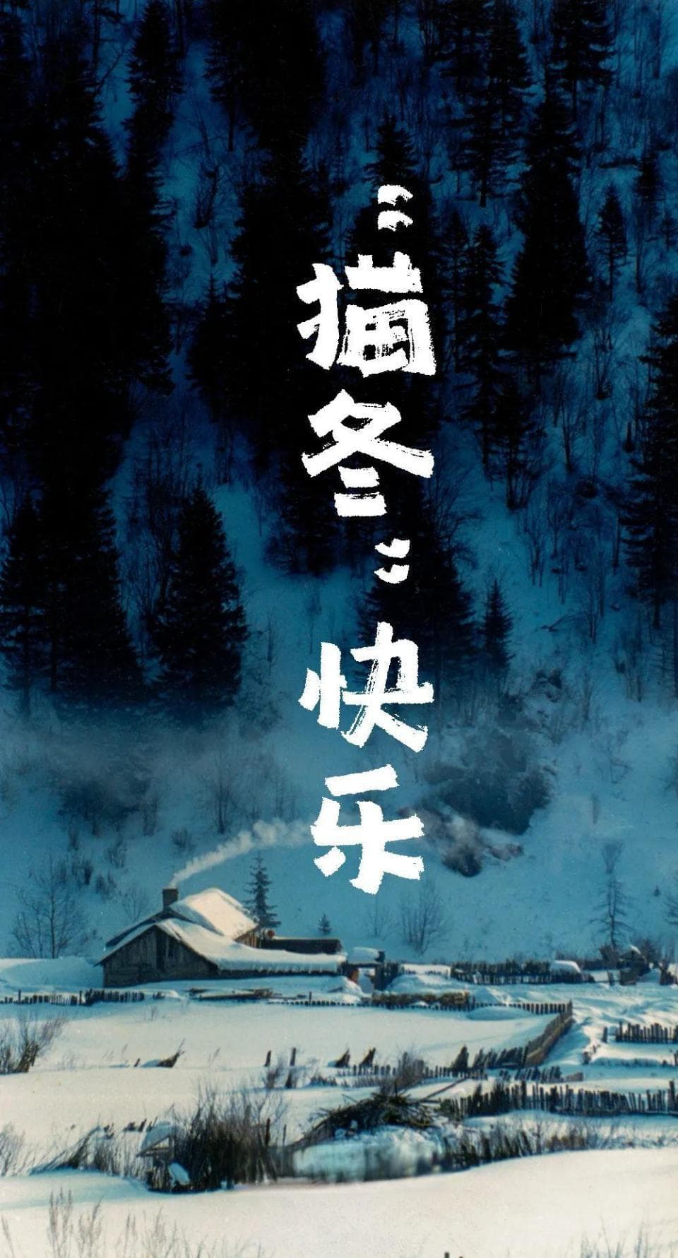 去东北，猫个冬！