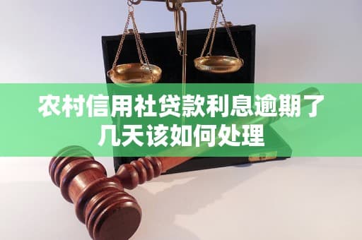农村信用社贷款利息逾期了几天该如何处理