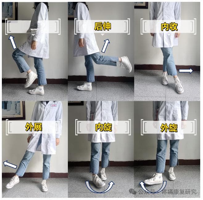 股骨头坏死：警惕无声的骨骼危机