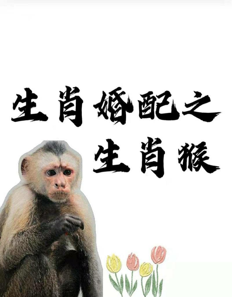 生肖猴鼠天生佳配，缘分深厚不可拆！