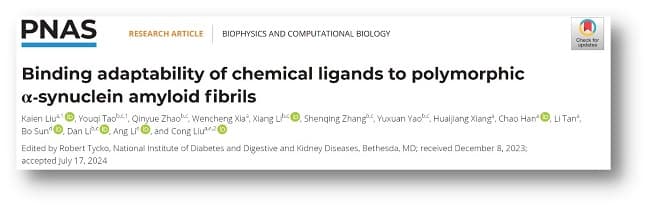 中国科学家揭示小分子识别淀粉样蛋白聚集体的新机制