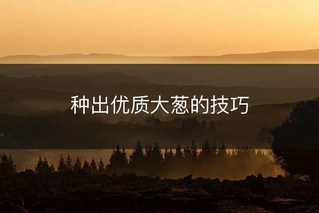 种出优质大葱的技巧
