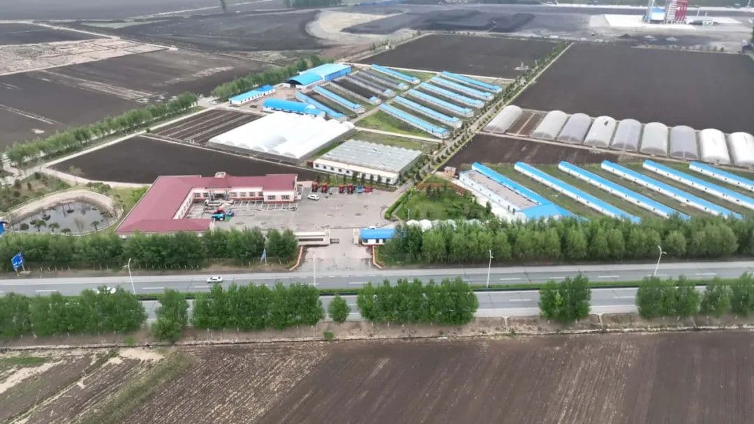 地力越来越肥沃，某市黑土地保护利用显实效