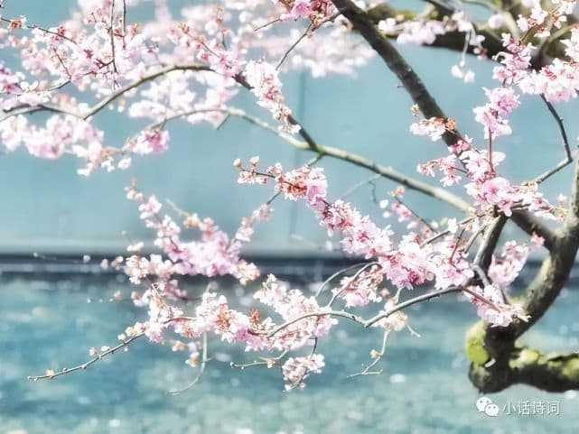 放不下的情感：陆游对唐婉的爱情，是长达六十余年的思念与一首首悲情的诗词