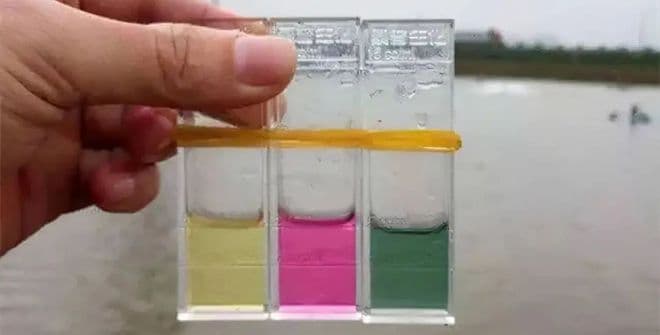 养虾过程中氨氮过高的解决方案