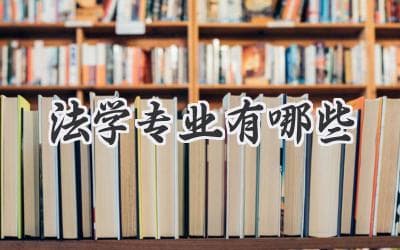 法学专业细分领域：从理论到实践的探索之路