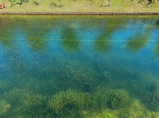 河道水体生态环境优化详解：从污染治理到生态重建的完整解决方案