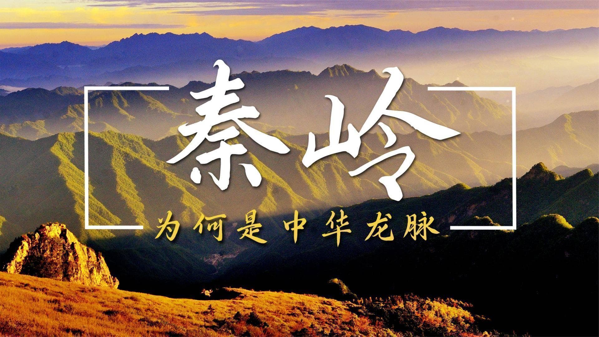 秦岭为何被称为“中华龙脉”？揭秘这座山脉的地理与文化价值