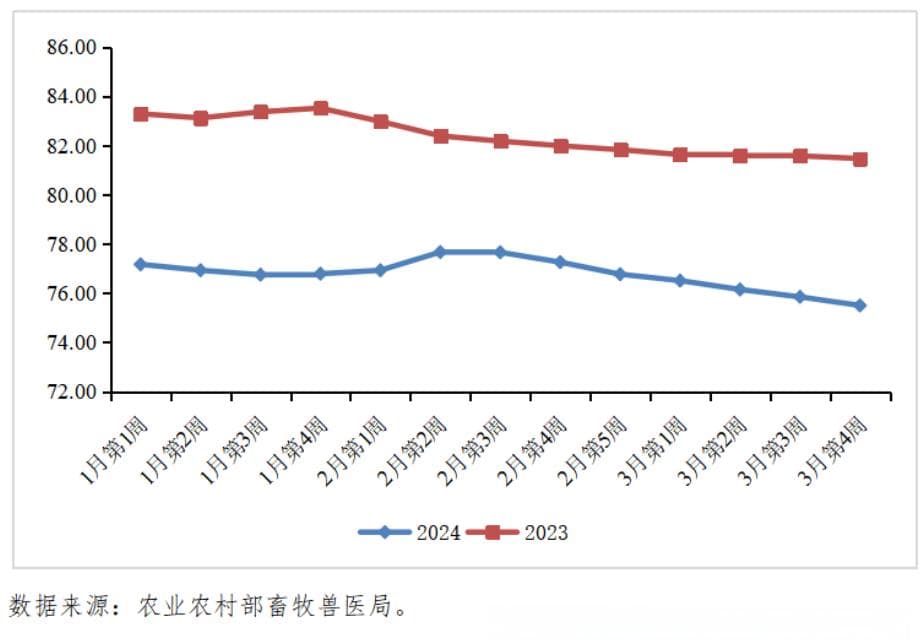 2024年第一季度国内肉羊产业分析报告