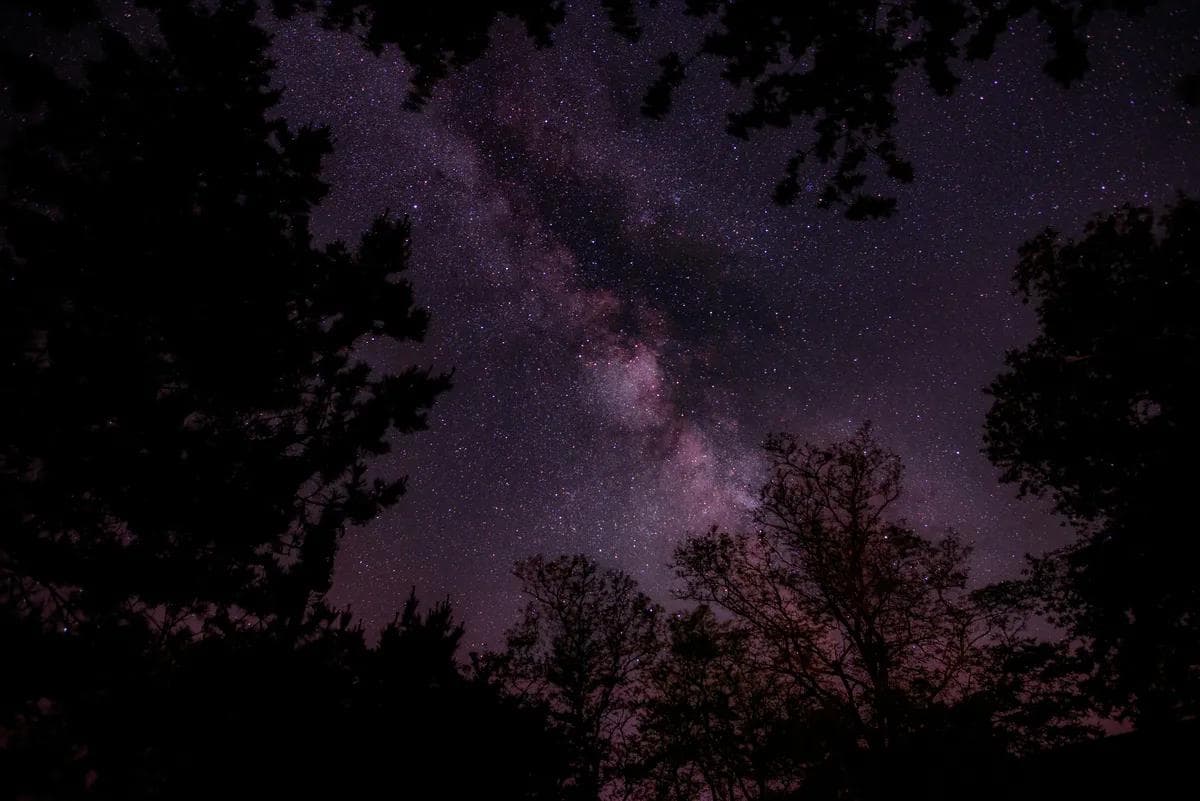 什麼星座是INFJ？揭秘提倡者的星座秘密