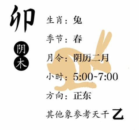 八字命理中的“卯木”详解