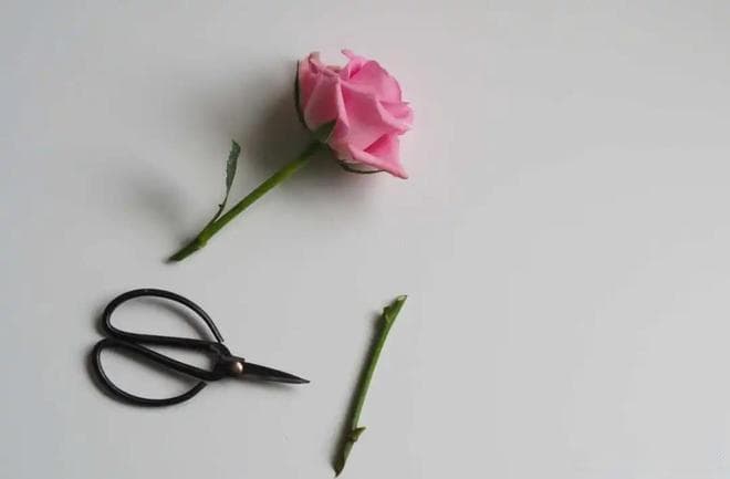 理智型 vs 情绪型：男性离婚后的两种人生