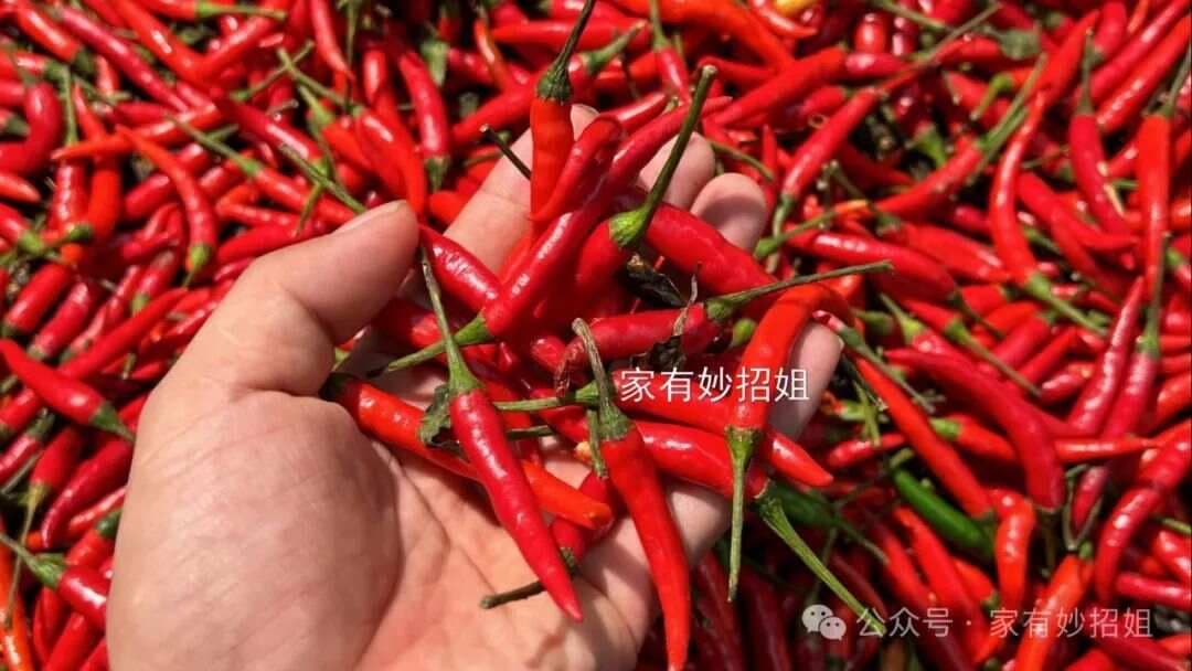 保存小米椒，千万别再直接放冰箱，教你一招，放半年也新鲜！
