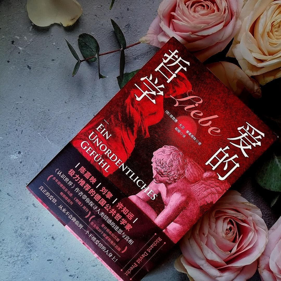 《爱的哲学》：不懂爱，你凭什么被爱？