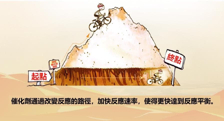 张涛：单原子催化-探索催化科学的微观世界