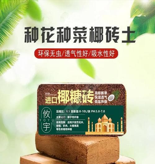种植多肉必备，纯椰糠为你解忧！