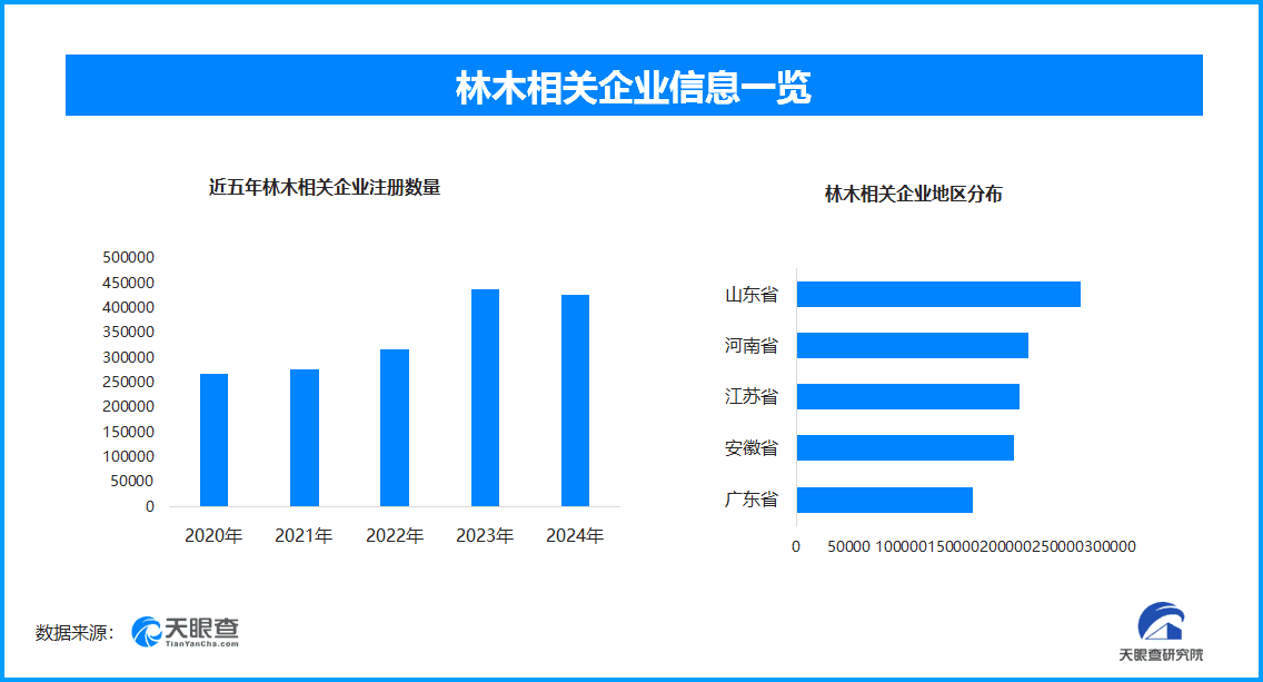 从树木到木材：植树节视角下的生态与经济的平衡探索