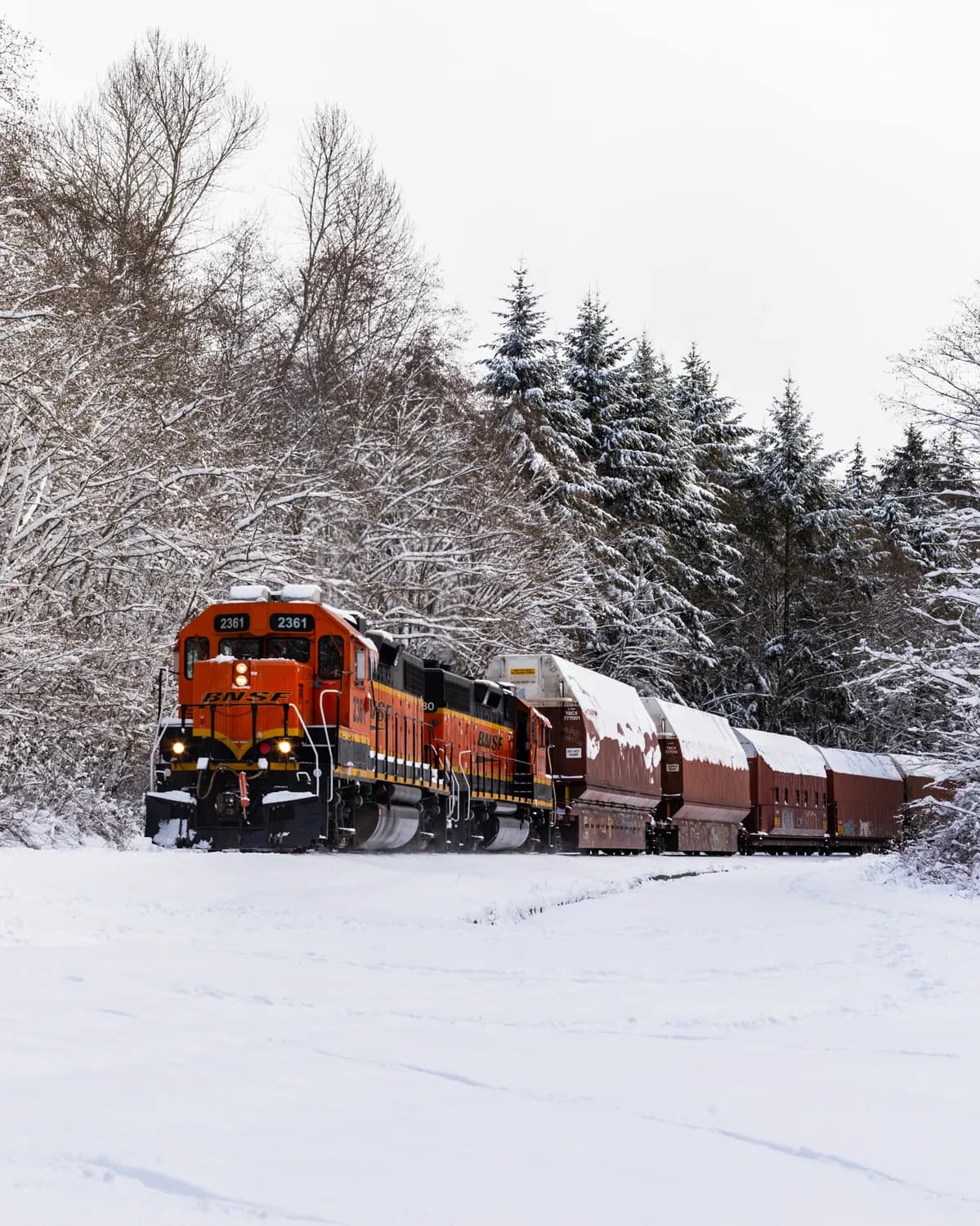 秦岭小火车：穿越冰雪世界的“雪国列车”
